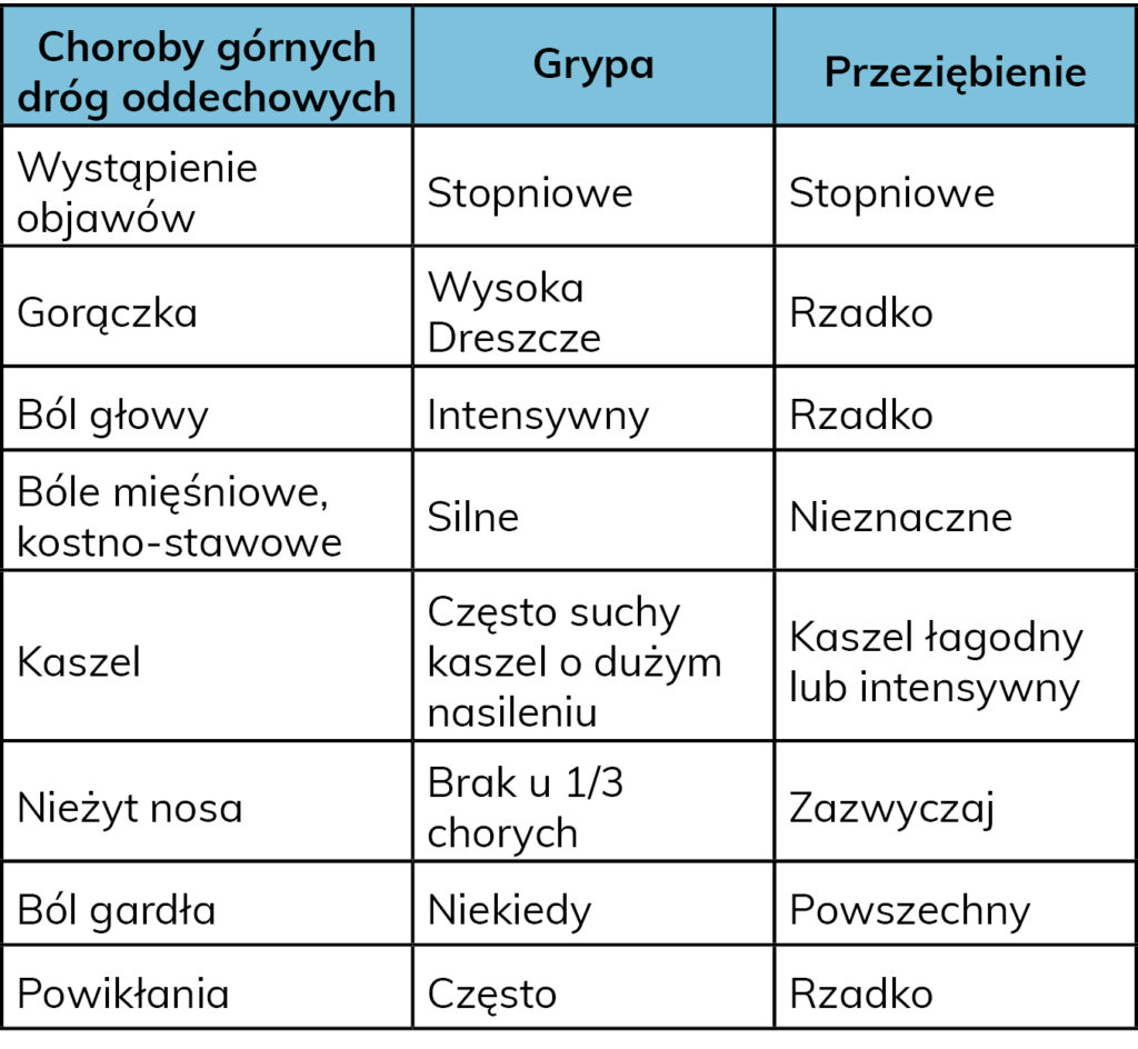 Bez nazwy 1